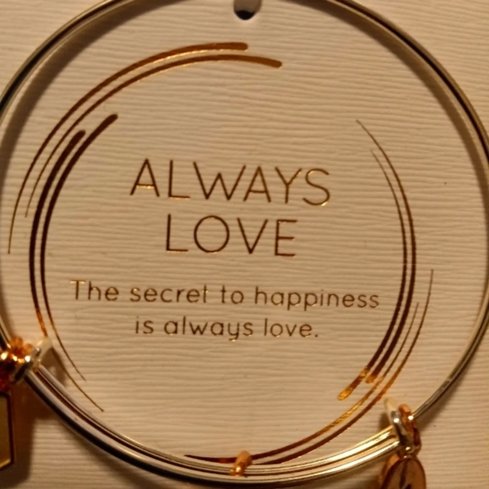 NEW 14k Gold-plated Charms w/SS Unwritten "Always Love" Charm Bracelet - Picture 2 of 5